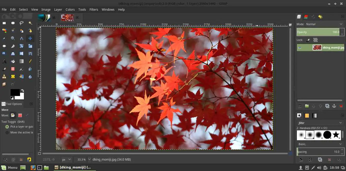 apply dark theme in gimp