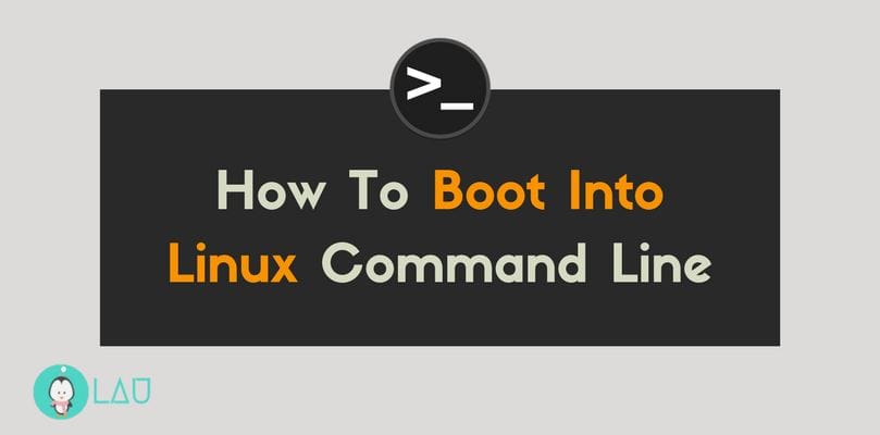 boot into linux command line