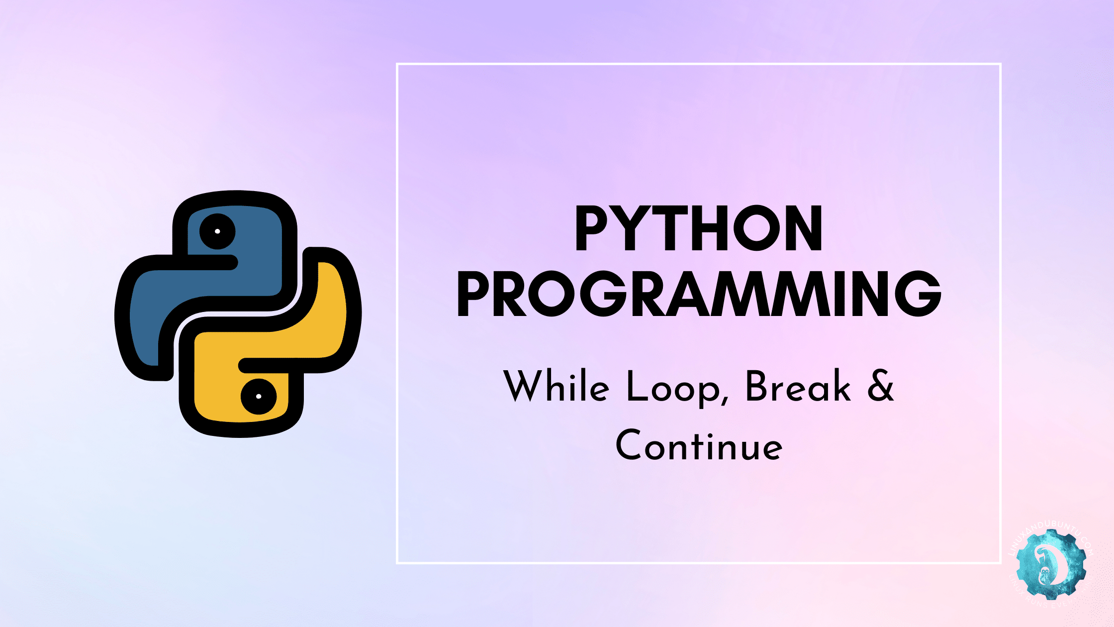 While Loop Break Continue