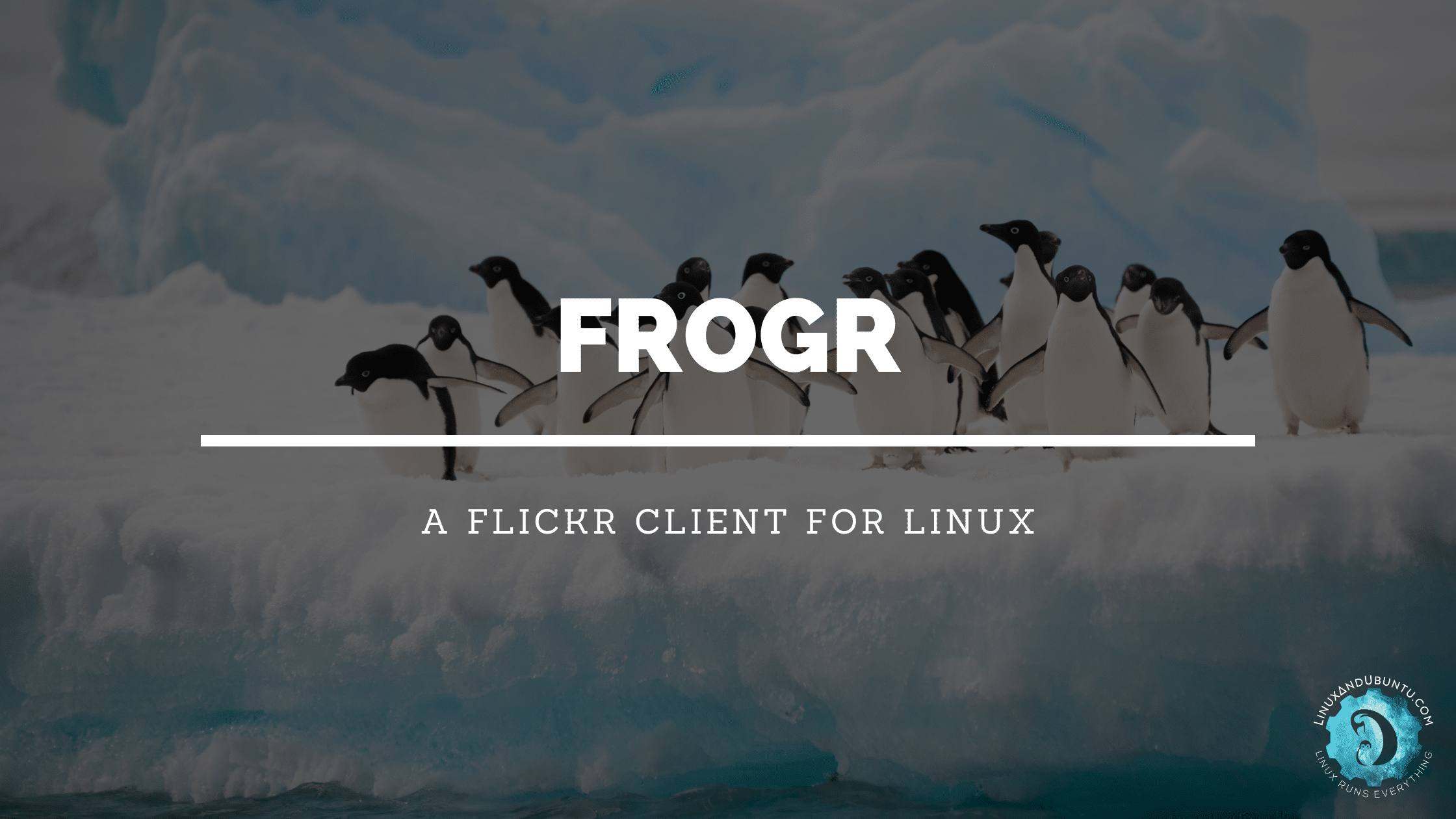 Frogr Flicker Client For Linux
