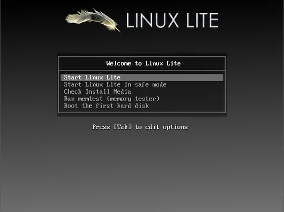 Boot into Linux lite Live