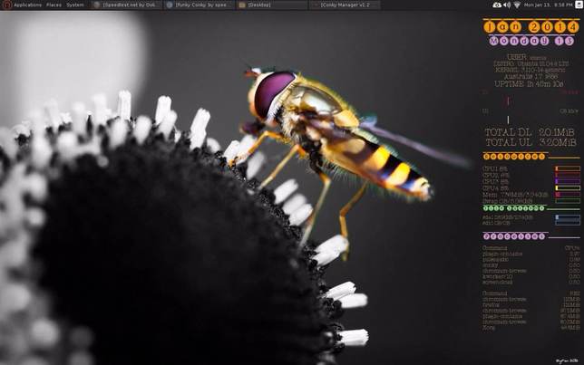 bee conky for linux