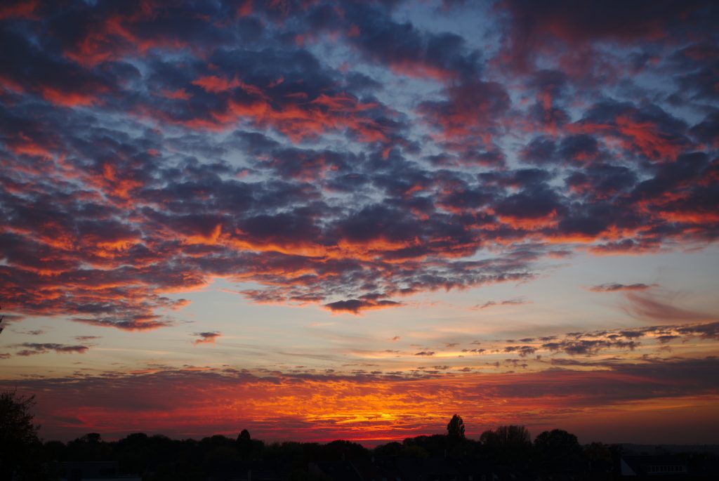 djselbeck fedora 30 wallpaper