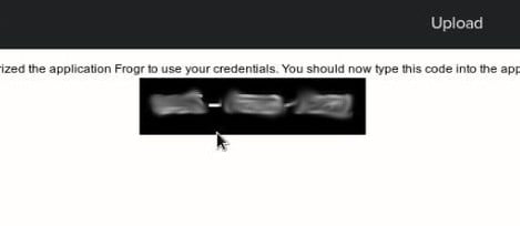 flickr verification code for Frogr