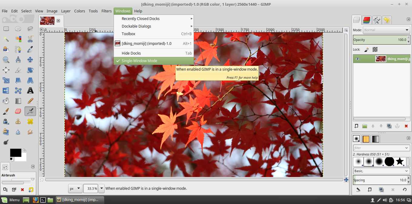 gimp photo editor for linux