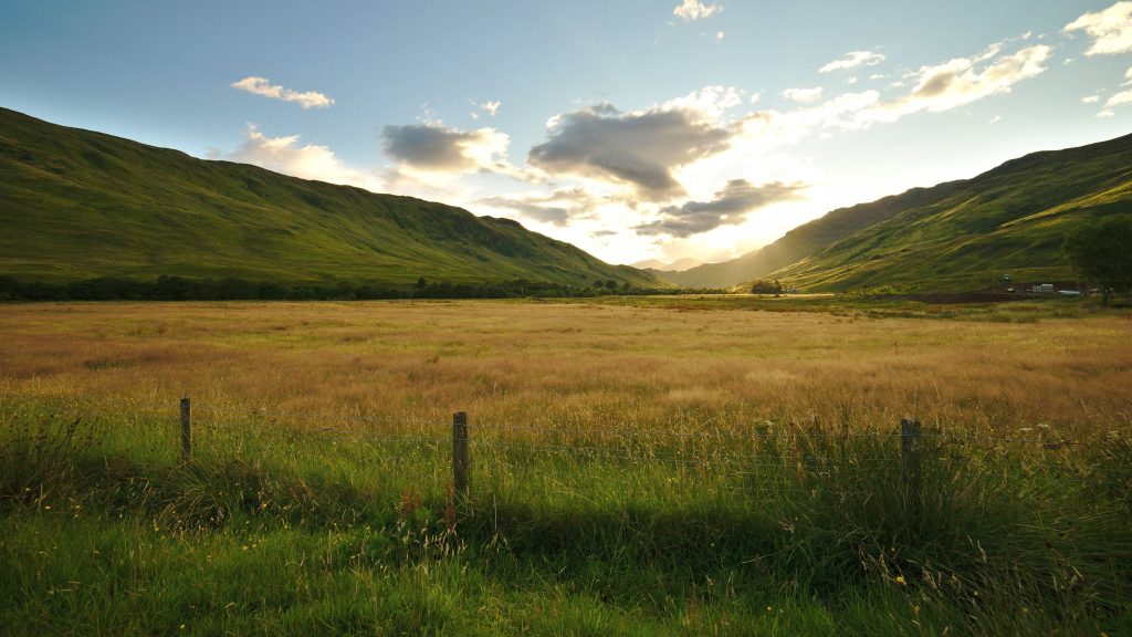 noe fedora wallpaper