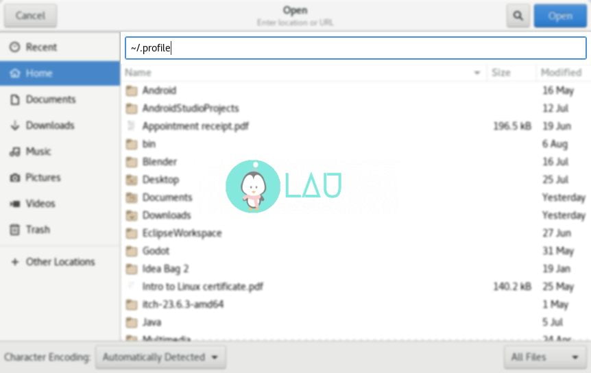 open profile picture on i3wm