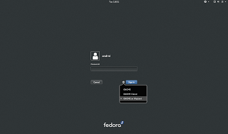 Fedora 21 Gnome wayland session
