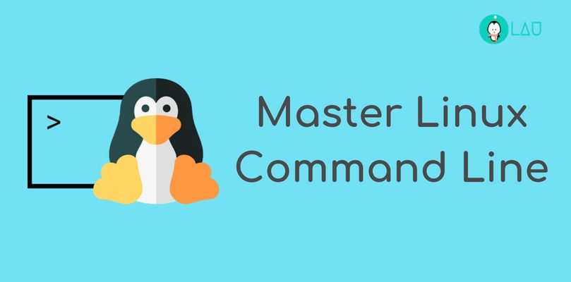 Master The Linux Command Line