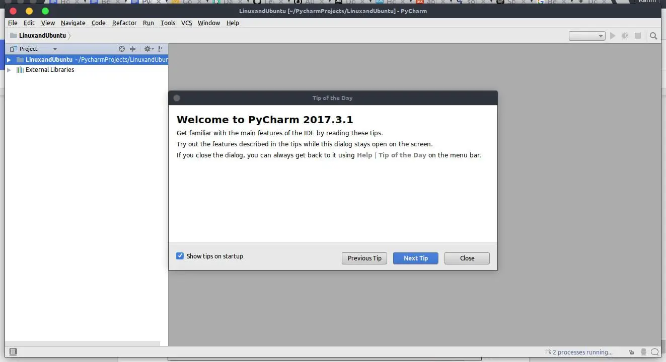 Pycharm upon initialisation and startup