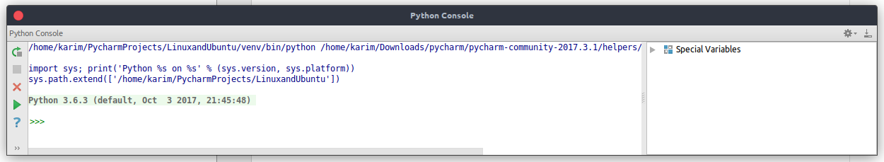 The python console