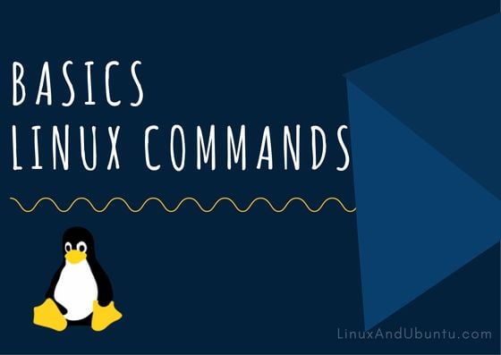 basic linux commands for beginners