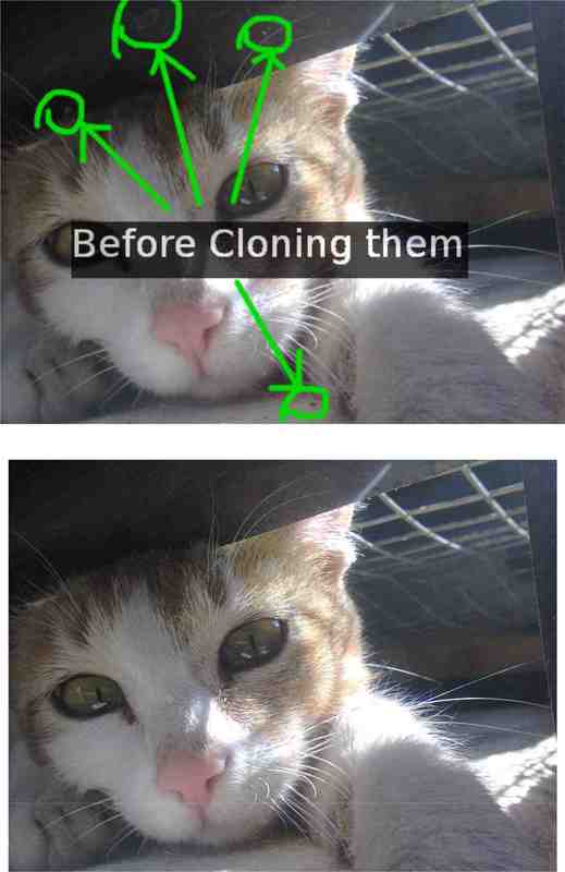 crop image in gimp in linux