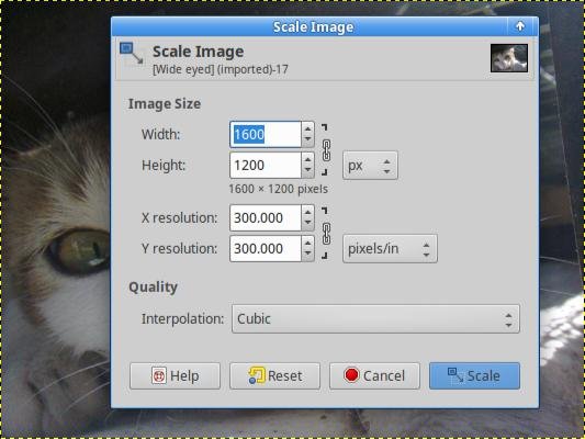 gimp scale your image