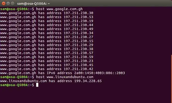 host linux network command