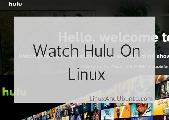 how to watch hulu on linux