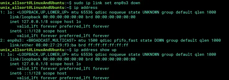 ip link network interface down