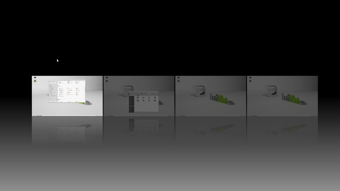 linux mint 17.1 settings
