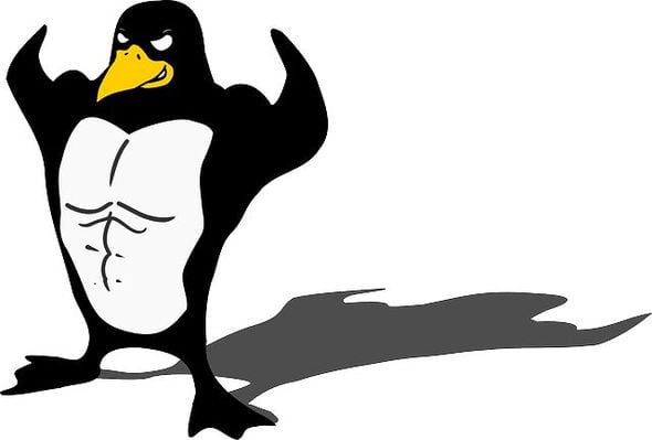 linux penguin powerful