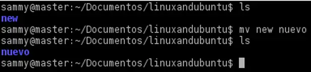 rename directory in linux