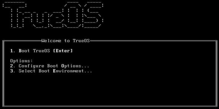trueos configure boot options