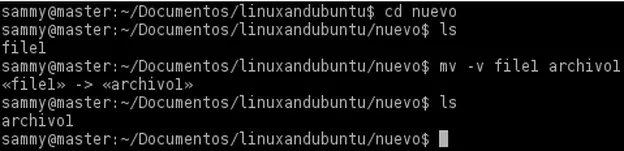 verbose rename linux files
