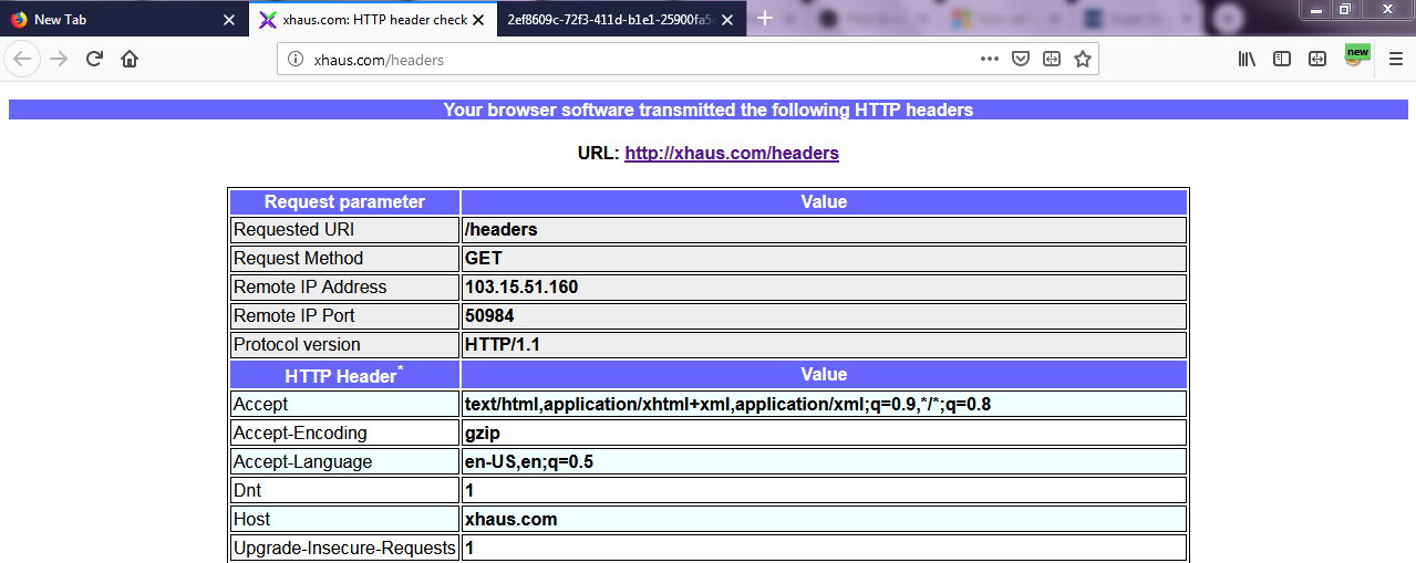view http request headers