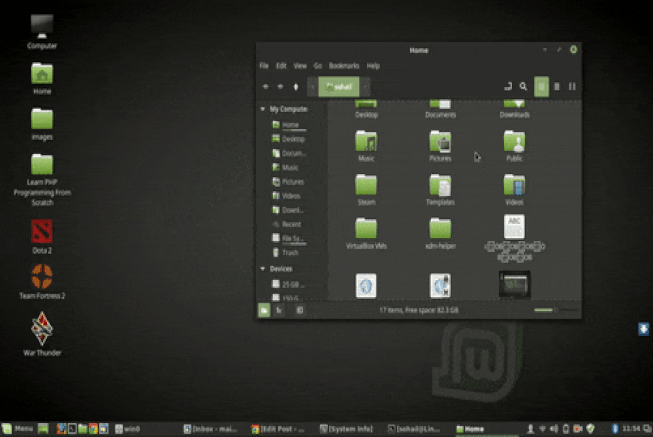windows animations enabled in linux mint
