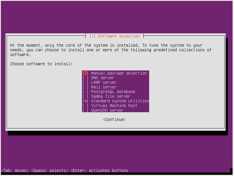 ubuntu server installation choose software