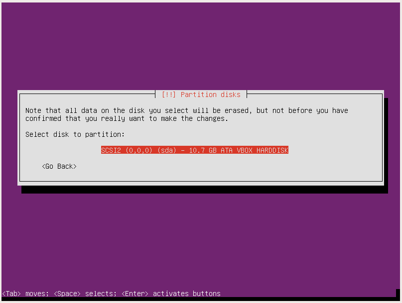 ubuntu server setup select disk